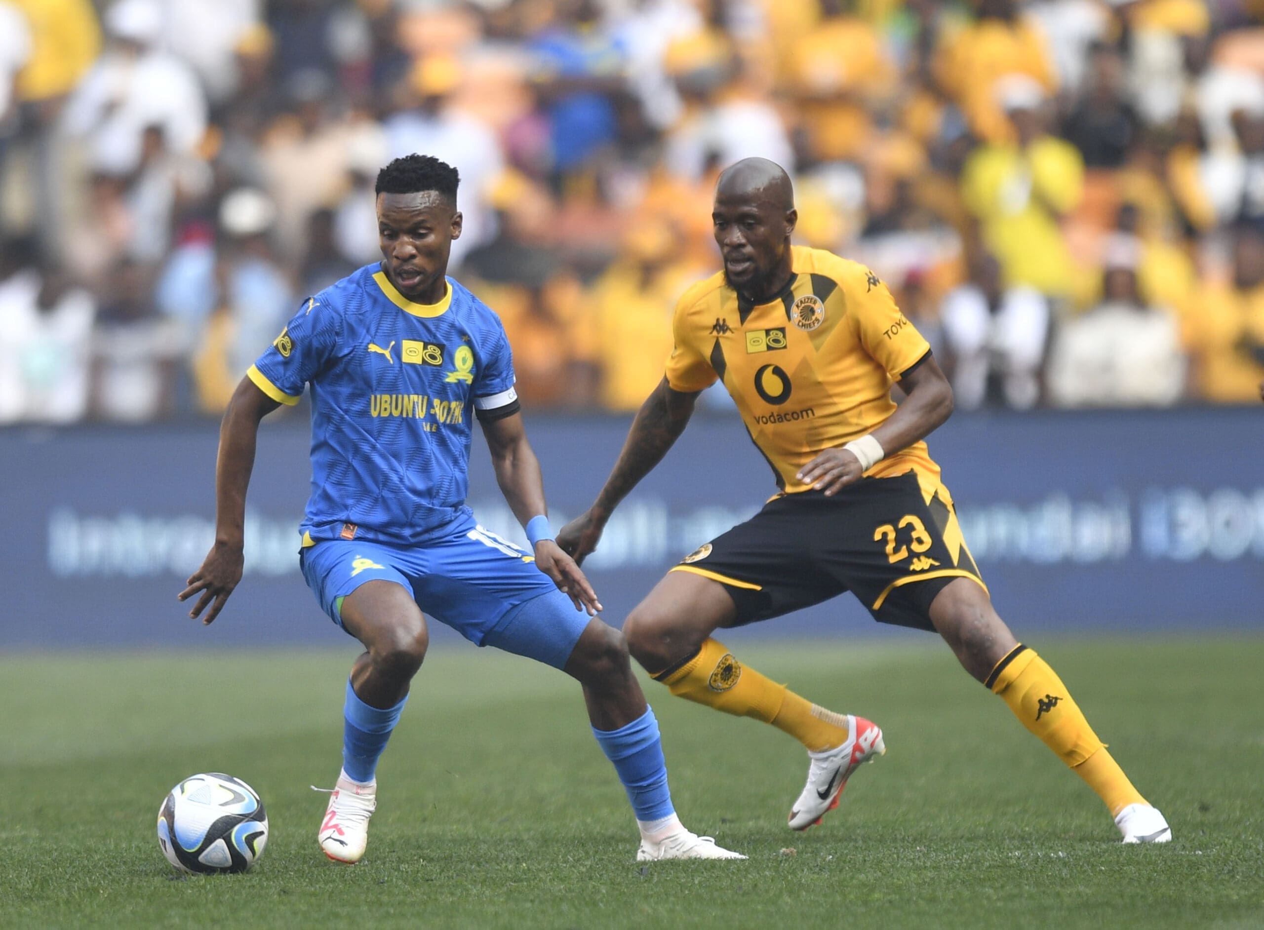 Mshishi recovering at home