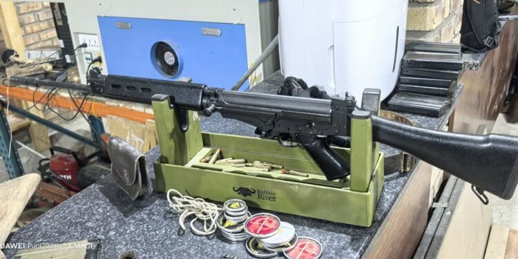 firearms