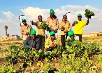 Growing skills, jobs and hope