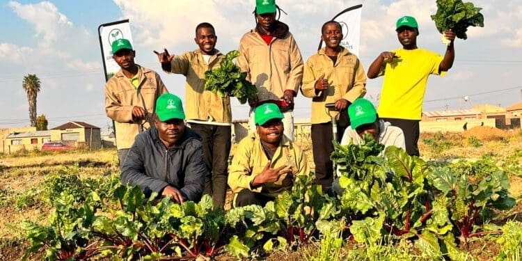 Growing skills, jobs and hope