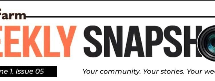 Weekly Snapshot: Orange Farm News Newsletter