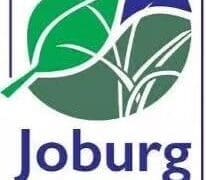 Joburg calls on communities to plant for a greener future this Arbor Month