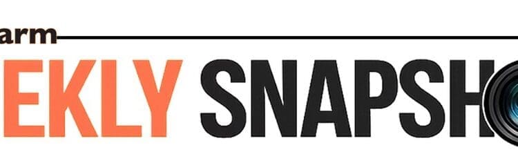 Weekly Snapshot: Orange Farm News