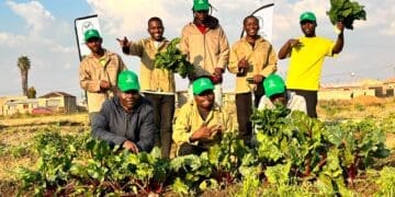 Growing skills, jobs and hope