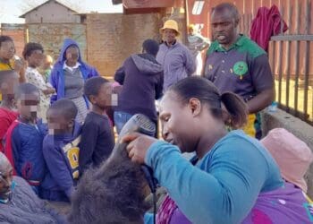 Ward 1 initiative restores children’s confidence