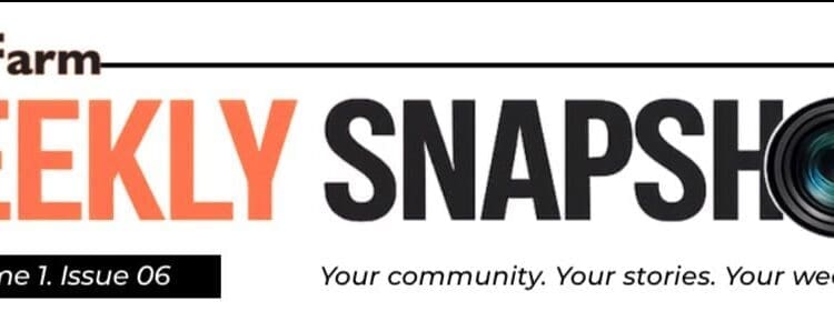 Weekly Snapshot: Orange Farm News Newsletter
